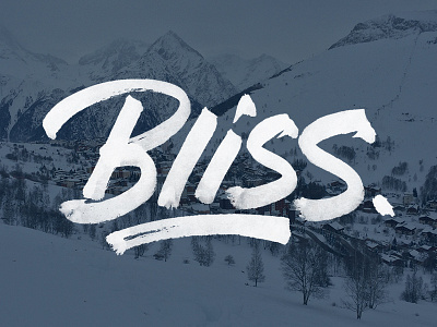 Bliss analog brush calligraphy expressive freehand grunge lettering typography