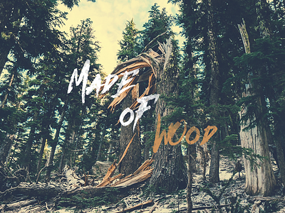 Made of wood brush font identity letter lettering logo logotype retro typeface typo typography vintage
