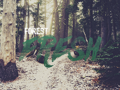 Forest fresh brush font identity letter lettering logo logotype retro typeface typo typography vintage