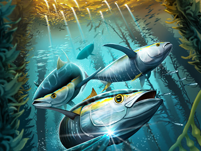 Yellowfin Tuna diving fishing illustration kelp ocean scuba spearfishing