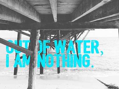 Out of water, I am nothing brush font identity letter lettering logo logotype retro typeface typo typography vintage