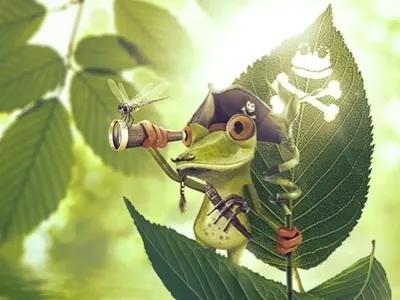 The mighty frog cgi frog photoshop pirate