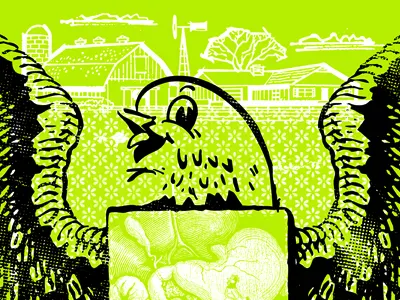 Bok Bok chicken farm gigposter poster screenprint silk screen