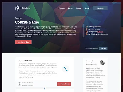 Datacamp - Course details design details education hero icons material polygon r