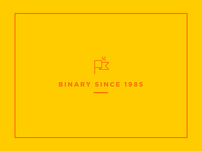 Binary Since 1985 binary flag flat frame illustration simple