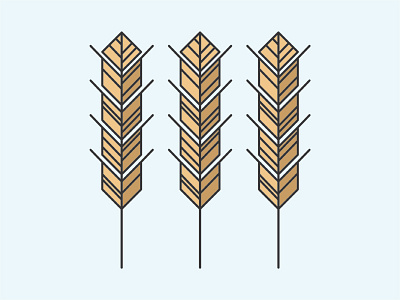 Wheat Study 2d barley beer grain graphic design icon wheat