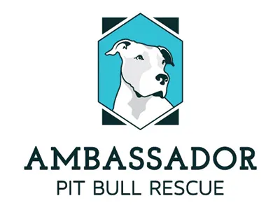 Ambassador Pit Bull Rescue animal rescue branding dog logo pit bull