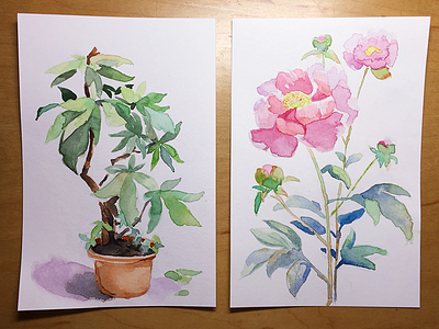 Watercolor cards card painting watercolor