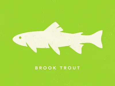 Brook Trout animal brook trout design fish illustration james mcdonough vector