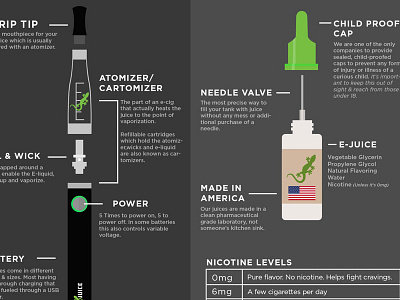 Anatomy of E-Cigarette ecigarette ejuice flat design lizard juice