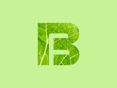 BeFit Foods Identity - Lettuce befit food logo