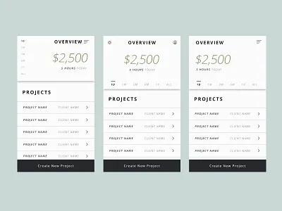 Accounting App Concept app ios8 visual design
