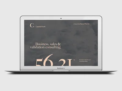 Capital Hook landing page business capital consulting finance hook identity luxury sales