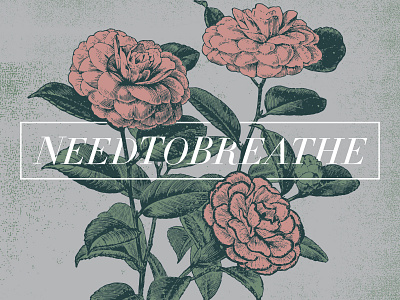 More Flowers didot flowers illustration texture