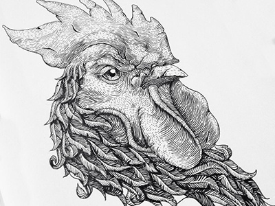 Gallo handmade illustration logotype