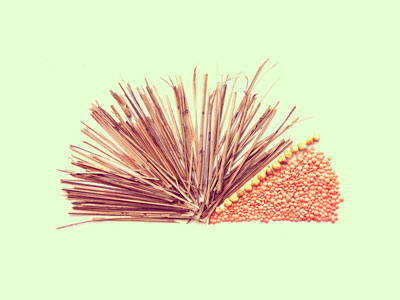 Pie Chart aapsweeps broom illustration infographic jhadoo photo