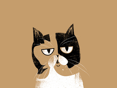 Pudge brown cat famous illustration instagram pudge the cat