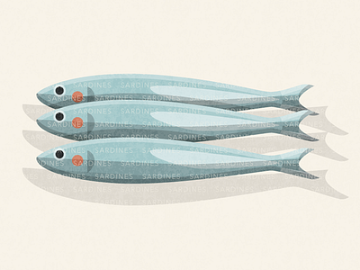 Sardines food illustrator