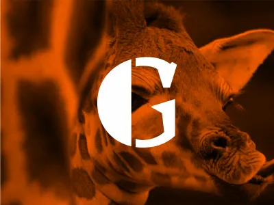 Long Neck Buddy branding communication icon logo mark type typography wordmark