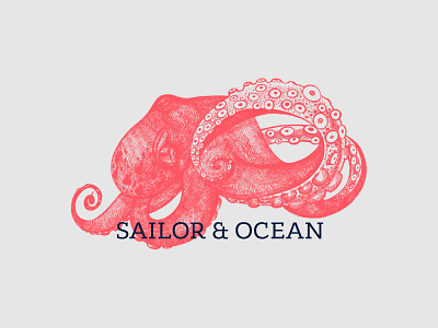 Sailor & Ocean branding logo