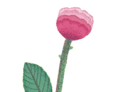 rose flower green illustraion pretty red rose