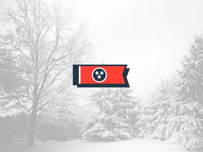TENN-ICE-SEE ice icemageddon snow snowmageddon snowpocalypse winter 2015