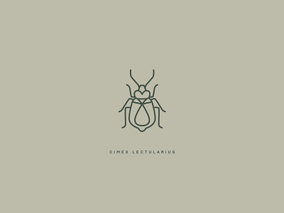 Bug artwork bed bug illustration illustrator logo mark