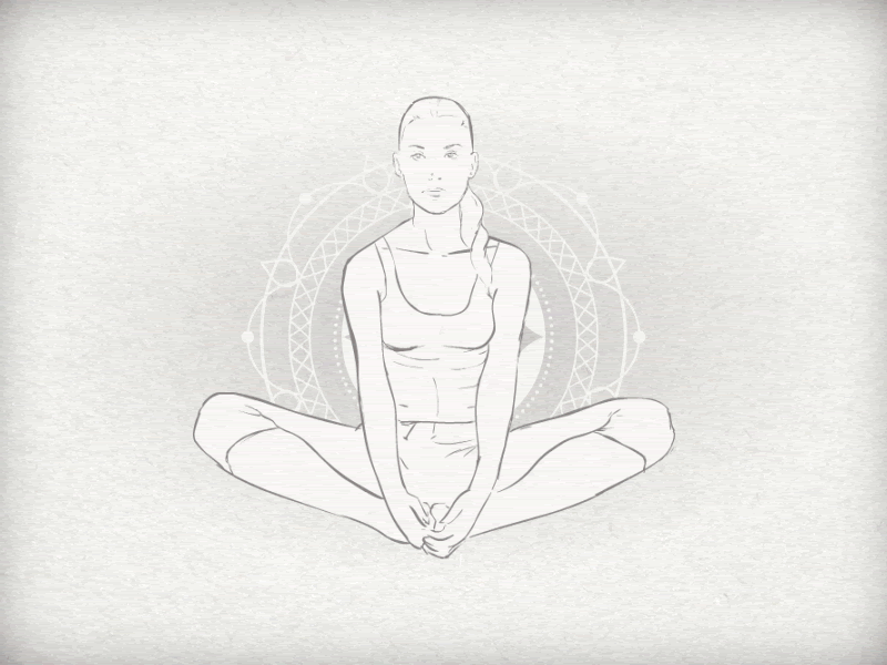 White Lotus fitness health lotus medic physiotherapy sport training yoga