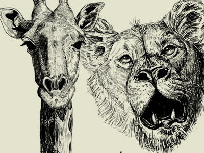 Zoo Two animal giraffe illustration lioness zoo