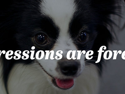 First Impressions Are Forever cranky pixel