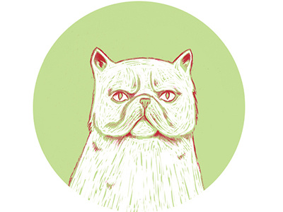 moody persian cat cat circle design grumpy illustratie illustration kat moody moustache persian