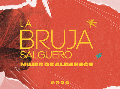 RRSS | La Bruja Salguero branding graphic design