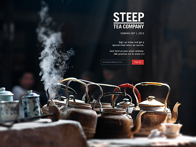 Steep Tea Company