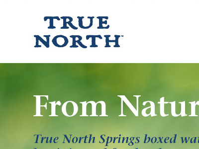 True North Springs Website Header banner carousel design development header logo website