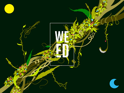 Natural día flores ilustración noche