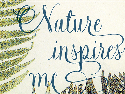 Natura3 font natura swashes type