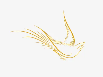 Bird logo option 1 bird calligraphy flourish logo