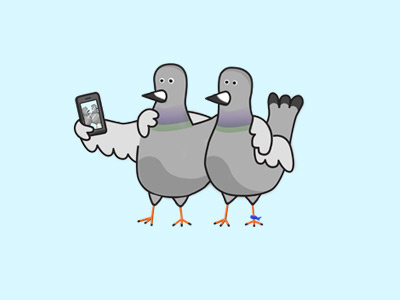 BPFs for LYF birds friends illustration pigeons selfie