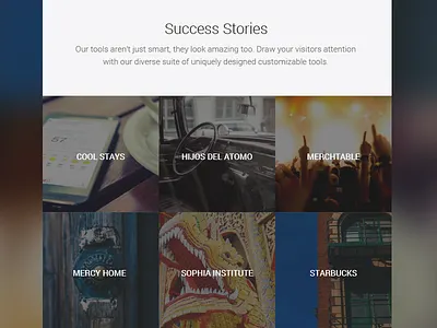 Case Study/Success Stories brand photography roboto ui ux web