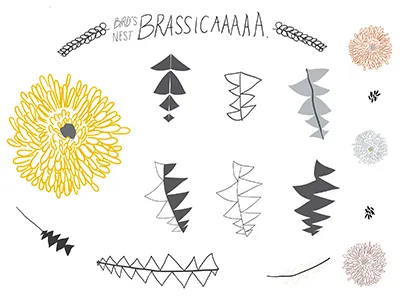 Leaf Study design floral graphic illustration