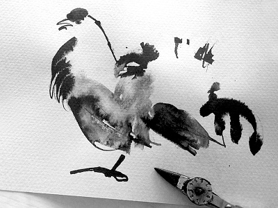 Wood Grouse bird black bottle illustration ink package water white wine