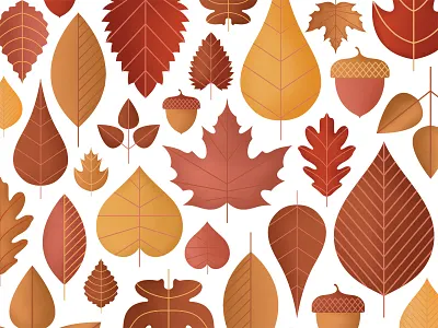 Leaf Pattern acorn art brown fall illustration leaf leaves orange pattern texture tree vector