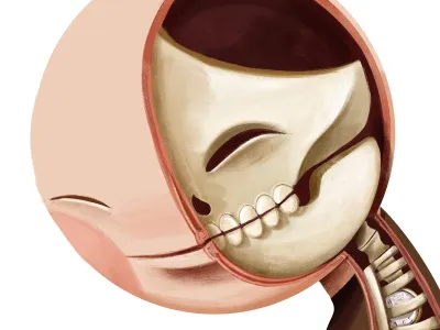 Inside of me anatomy bones human inside man