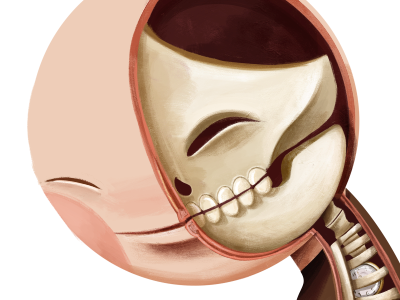 Inside of me anatomy bones human inside man