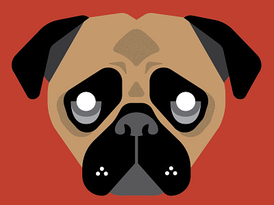 Pug - Dog Breed Quiz animal dog illustration nature pug