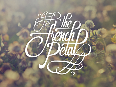 The French Petal | Branding branding florist flowers lettering logo