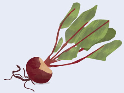 Give Me a Beet beet doodles illustrations