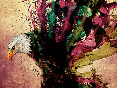 Stoop To Conquer animal art bald eagle eagle graphic illustration paint paint splat poster print texture tshirt