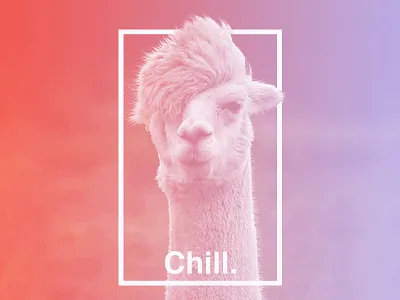 Chill. design gradient helvetica llama overlay poster type