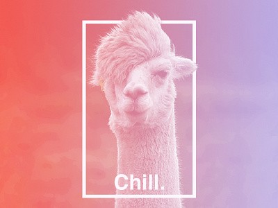 Chill. design gradient helvetica llama overlay poster type